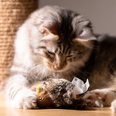 GiGwi贵为仿真小鸟老鼠炫律猎物发声玩具猫咪逗猫棒
