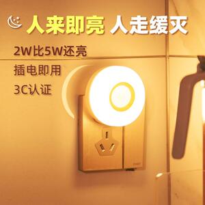 晚畔2W人体智能感应灯家
