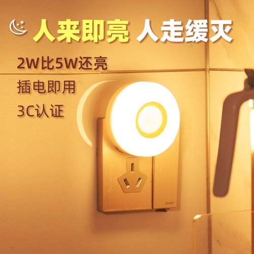 晚畔2W人体智能感应灯家