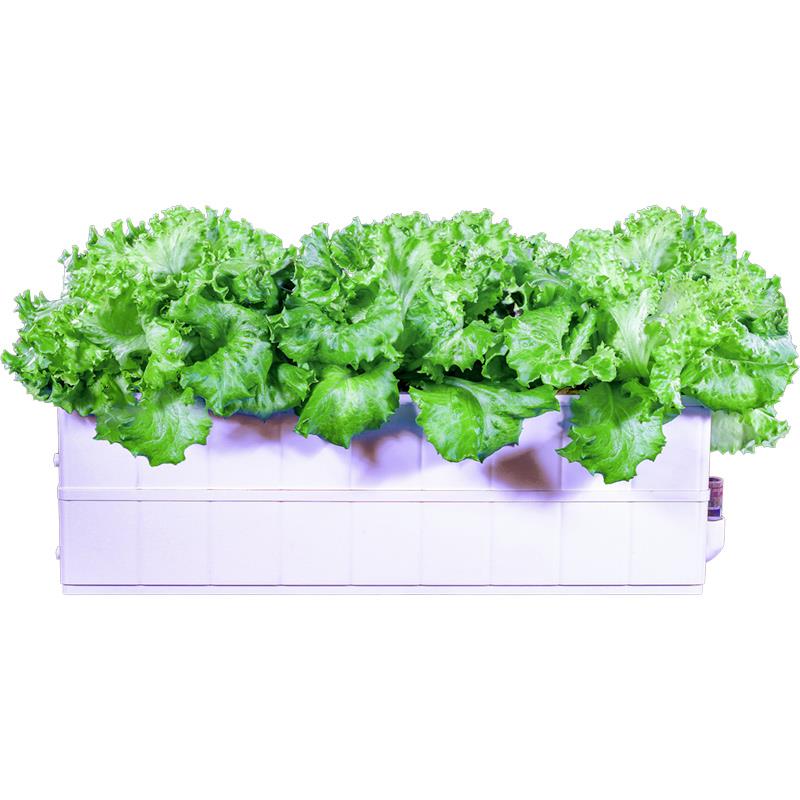 家庭室内蔬菜种植箱槽智能无土栽培水培设备花盆家用阳台种菜神器