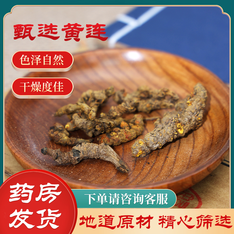 中药材黄连 单支黄连川连中药材川黄莲片根中药黄连粉