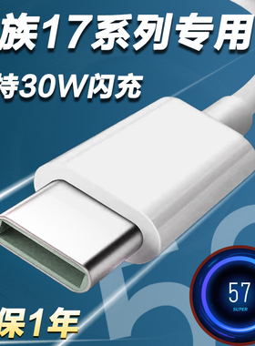 适用魅族17Pro数据线30W快充MEIZU17手机充电线闪充type-c5G版Super mCharge插头