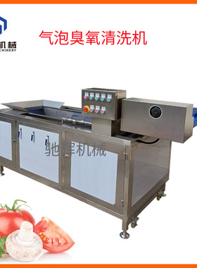 中型无损果蔬清洗机 长形豆角清洗机 芹菜蒜苗清洗机 接流水线
