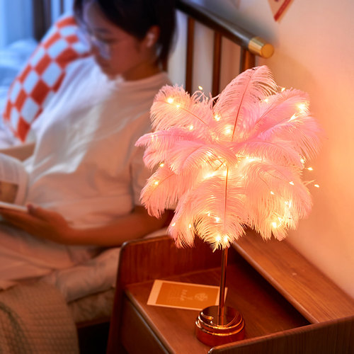 少女卧室房间装饰氛围灯羽毛台灯