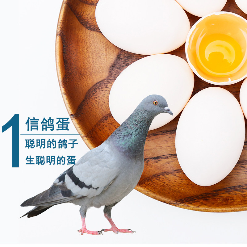 30枚大个鸽子蛋新鲜精品特级五谷杂粮信鸽蛋白鸽蛋农家散养土鸽蛋