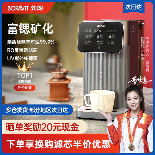 机台式净水器反渗透净饮机BORAVI