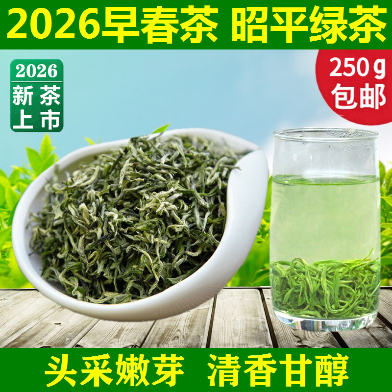 2026年早春茶上市 头采嫩芽叶广西昭平绿茶250克明前清香散装茶叶