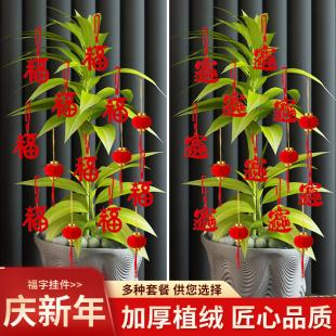 盆景植绒小红灯笼挂饰发财树上新年装饰绿植乔迁之喜盆栽小挂件