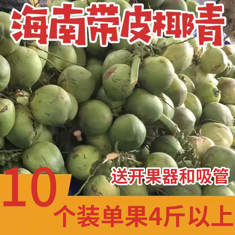 海南文昌新鲜椰青大果10个装带皮