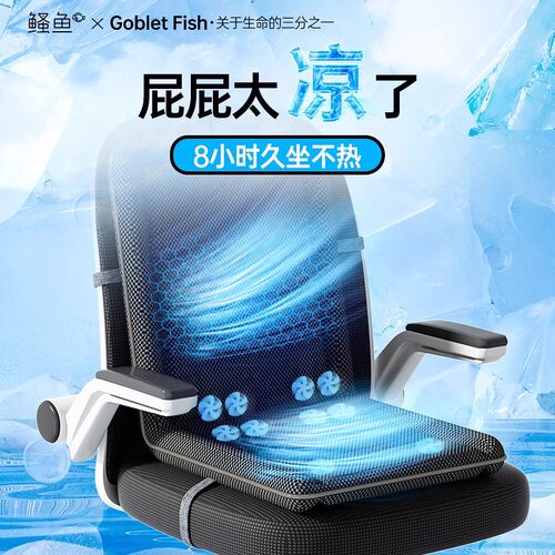 办公室通风坐垫3挡调节