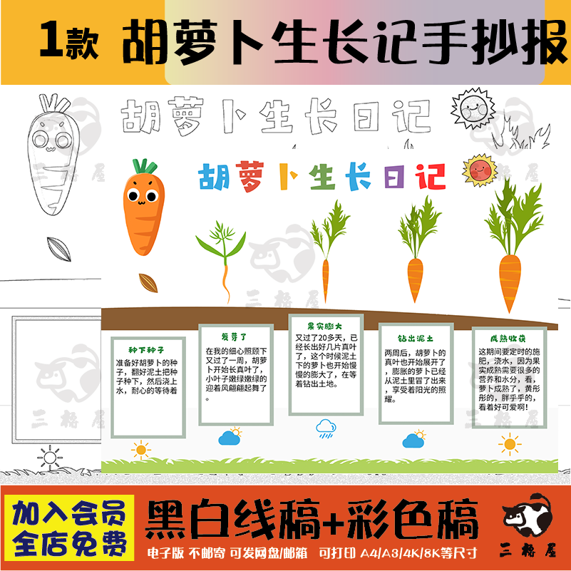 自然笔记手抄报胡萝卜的生长过程小报植物生长日记自然观察手抄报