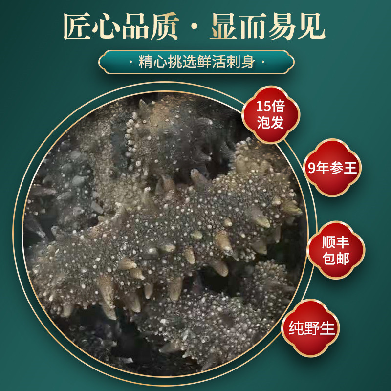 铸璋大连野生海参纯淡干海参9年