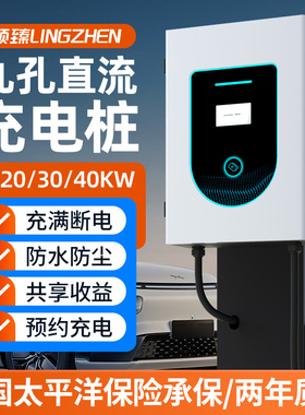 直流汽车快充电桩7/20/30/40kw新能源家用9孔快充枪380V红旗蔚来