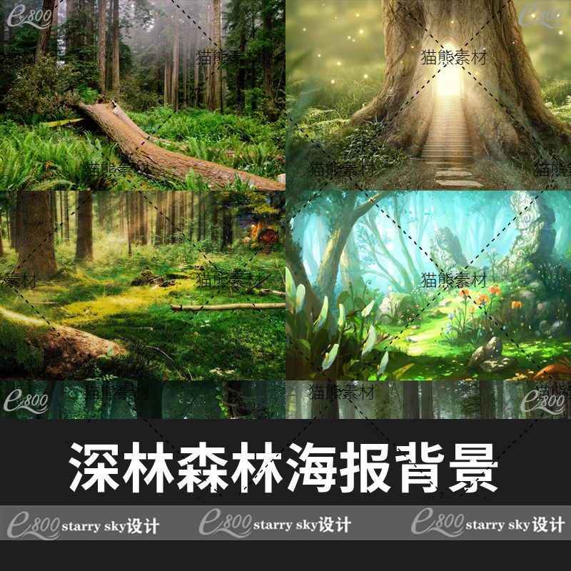 森林深林树林丛林大树木草地草丛全屏海报背景jpg图片素材