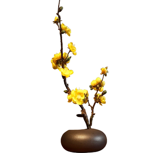 花枝舞蹈道具腊梅仿真花束梅花枝禅意摆设室内装饰陶瓷花瓶套装花
