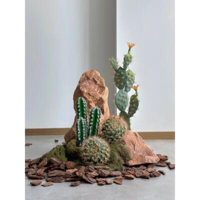 彷真仙人掌造景摆件橱窗楼梯下室内橱窗拍摄道具沙漠植物场景装饰