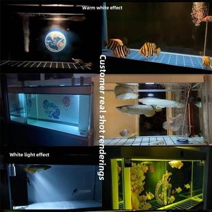 Led防水鱼缸灯龙鱼和虎鱼专用USB夜灯柔光防碰撞防眼白光暖黄光