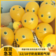 12寸18寸奶龙乳胶气球自带表情飘空气球波波球内球公园摆地摊