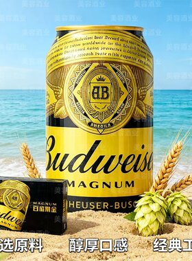 百威黑金330ml拉格精酿啤酒