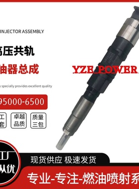 095000-6500喷油嘴总成RE529117全新高品质货源稳定耐用现货供应