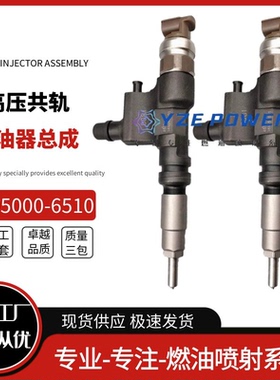 095000-6510 6511电装共轨喷油器 适用丰田日野23670-E0081 E0082
