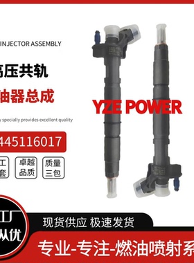 0445116017共轨喷油器33800-2F000适用于起亚2.2 CRDi 全新货源