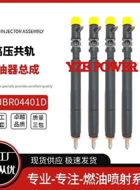 EJBR04401D喷油器总成A6650170221适用于双龙 REXTON 2.7 Xdi优质