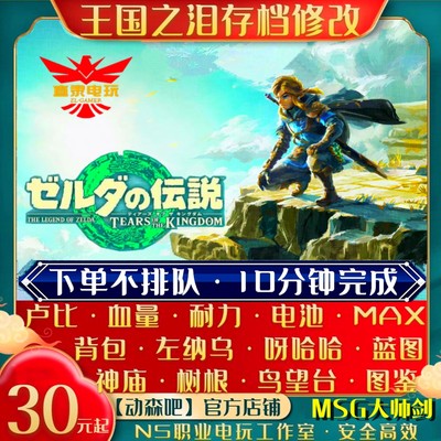 NS塞尔达2王国之泪游戏存档修改