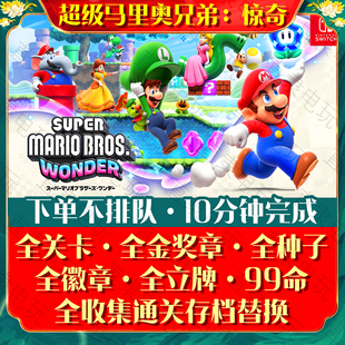 NS2超级马里奥兄弟惊奇全收集通关存档替换 马力欧徽章金立牌种子