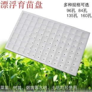 漂浮育苗盘泡沫漂盘水上种植泡沫育苗穴盘水培蔬菜种植泡沫板生芽