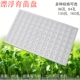 漂浮育苗盘泡沫漂盘水上种植泡沫育苗穴盘水培蔬菜种植泡沫板生芽