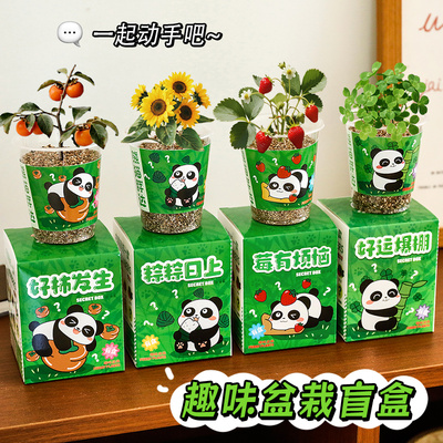 学生奖励小礼品熊猫diy种植盲盒