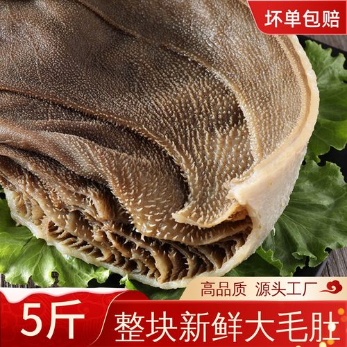 整个毛肚大叶片新鲜重庆火锅食材