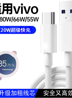 能适Type-C120W超级闪充数据线6A适用vivo手机oppo小米华为充电线iQOO快充/S10手机X27ProX8加长X60充电线66W