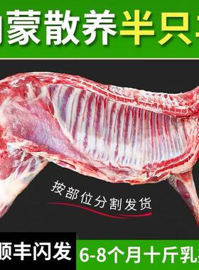 新鲜半只羊冷冻内蒙古羔羊肉10斤羊排羊蝎子整只羊腿全羊烧烤食材