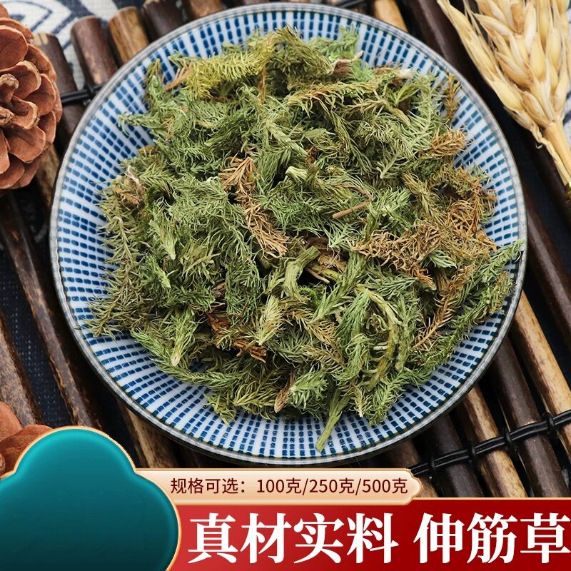 伸筋草500克舒筋草泡脚远志益智仁伸筋草石松狮子尾狮子草袋装