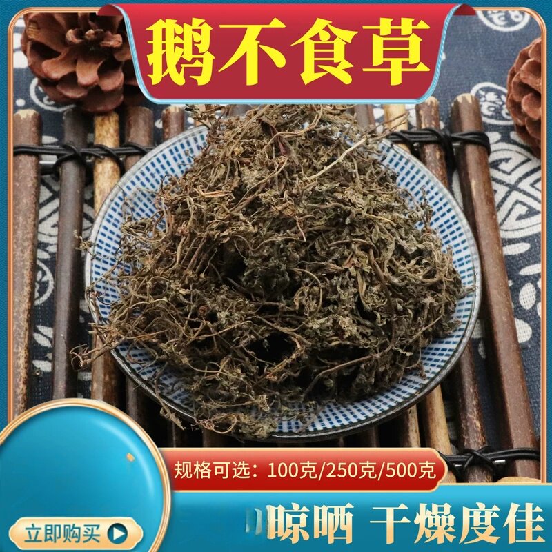 鹅不食草500克散装鹅不食草鹅不吃草鹅不食干草粉末食胡荽包邮