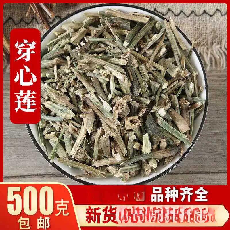 穿心莲 一见喜 穿心连可磨粉500克包邮 苦胆草 四方莲分装