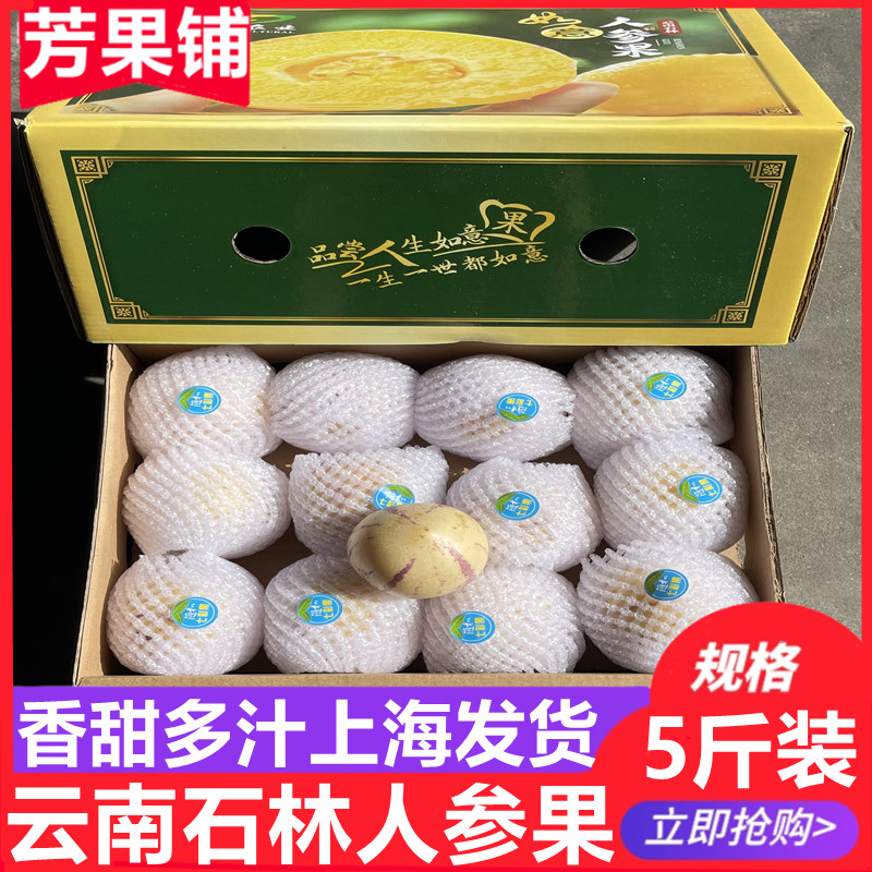新货包邮云南是林火山岩人参果礼盒装5斤装味甜多汁圆果大果新鲜