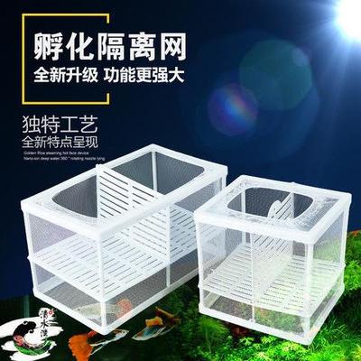 鱼缸双层孵化盒鱼缸繁殖隔离盒热带孔雀鱼斗鱼水族箱隔离网箱