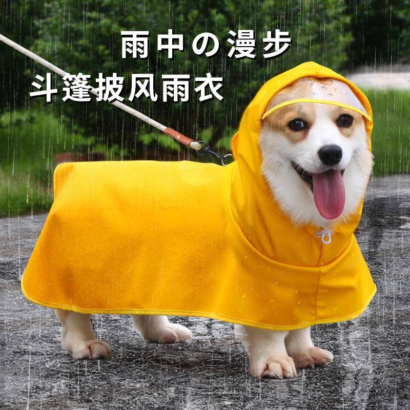 宠物狗狗雨衣防水狗雨衣全包中型犬柯基小狗小型犬护肚雨披狗衣服