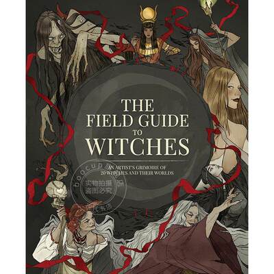 女巫概念设计指南 英文原版 The Field Guide to Witches: An artist’s grimoire of 20 witches and their worlds