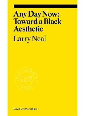 指日可待：迈向黑人美学 艺术理论 英文原版 Any Day Now: Toward a Black Aesthetic