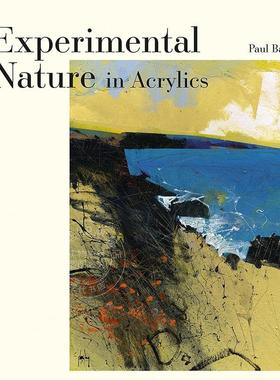 实验性丙烯酸：我们的自然景观 英文原版 艺术画册 Experimental Nature in Acrylics