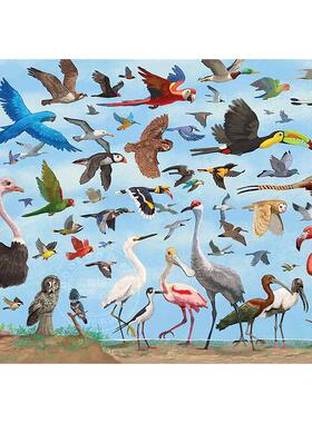 鸟类 1000片拼图 文创周边 Peter Pauper Press 英文原版 All the Birds 1 000 Piece Jigsaw Puzzle