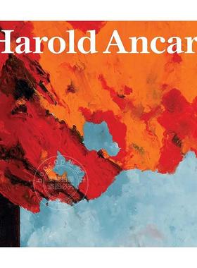 哈罗德·安卡特作品集 英文原版 艺术画册 Harold Ancart: Traveling Light