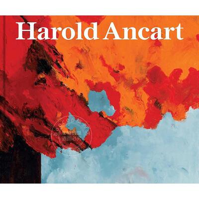 哈罗德·安卡特作品集 英文原版 艺术画册 Harold Ancart: Traveling Light