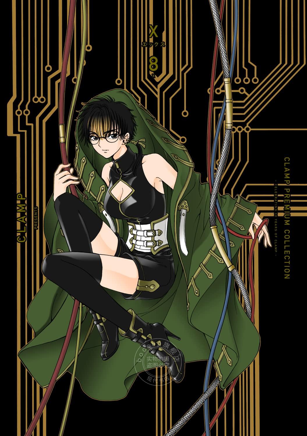进口日文 漫画 X 战纪 CLAMP PREMIUM COLLECTION X 8