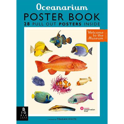 现货 欢迎来到博物馆系列 海洋馆海报 儿童科普绘本 英文原版 Oceanarium Poster Book