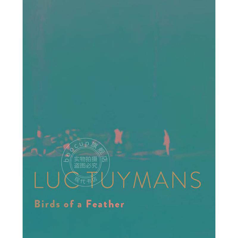 吕克·图伊曼斯：鸟羽 比利时画家 艺术图书画册 英文原版 Luc Tuymans - Birds of A Feather